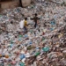 united nations warns pollution kills more people than covid 19 118877