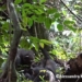 unprecedented behavior in animal species surprises scientists 118725