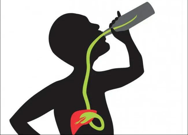 Drinking alcohol means your kidneys must increase their "work capacity"