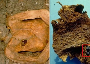 using gene technology to revive 400 year old mummies 121259