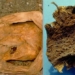 using gene technology to revive 400 year old mummies 121259