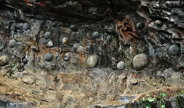 Chan Da Ya takes 30 years to "lay strange egg stones".