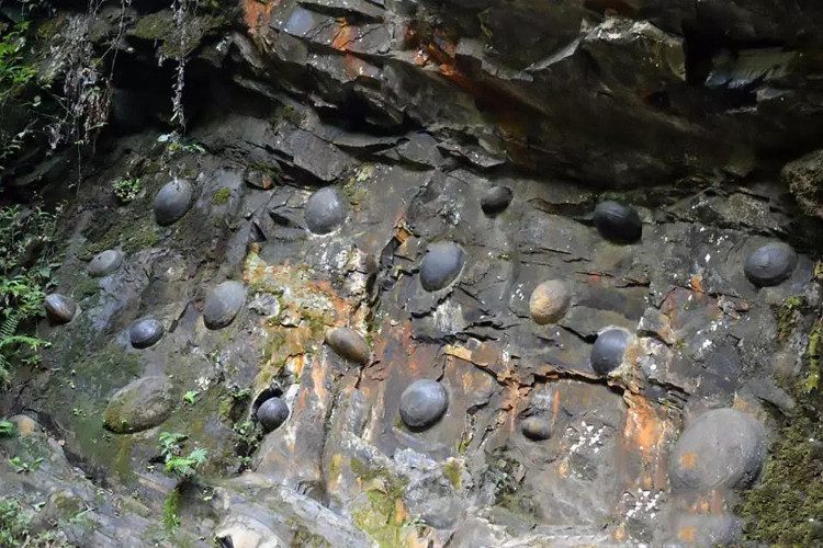 Egg-shaped stones forming on the cliff.