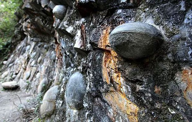 Egg-Laying Cliff