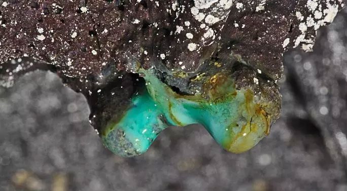 White bacteria clinging to a rock outcrop in a lava cave in Hawaii