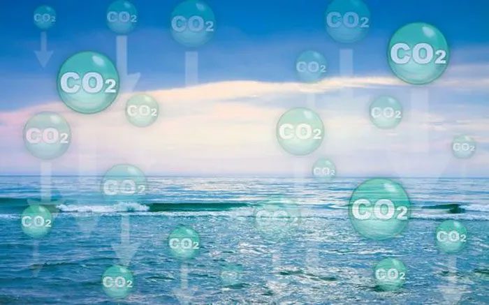 This is a newly discovered bacterium capable of naturally absorbing carbon.