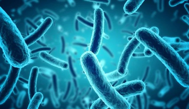 Cyanobacteria can produce oxygen on Mars