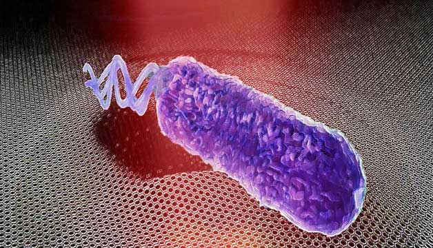 Bacteria can produce noise