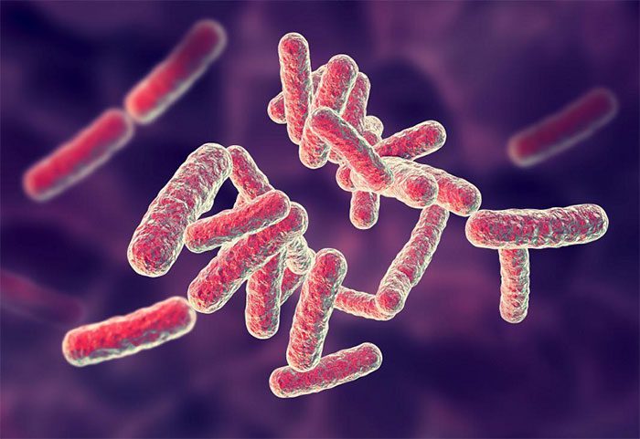 Infections have become the second leading cause of death after stroke.