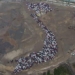 video 1 700 cars participate in record parking map vietnam 121655