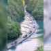 video con road always can bear the strength of 10 000 people 124447
