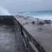 video hundreds of birds being blown past a wall in a storm 123685
