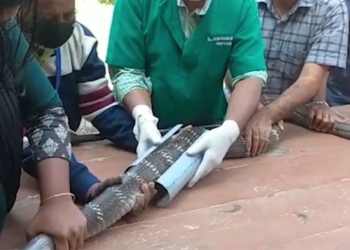 video preview of the three to six month old girl being treated for 118176