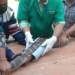 video preview of the three to six month old girl being treated for 118176
