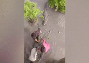 video thin skin hungry crocodile catch giant 124656