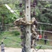 video translated near 5m dragging on power pole 122873