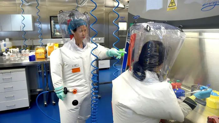 Research room at the Wuhan Institute of Virology (Wuhan, Hubei Province, China).