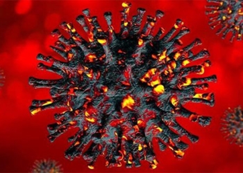 vietnam records first omicron variant infection 117972
