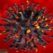 vietnam records first omicron variant infection 117972