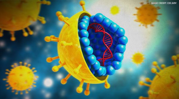Viruses leave traces in the DNA of their hosts rather than fossils in rocks