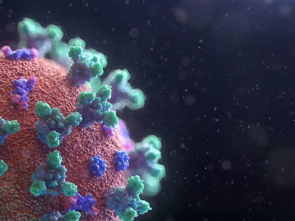 Virus