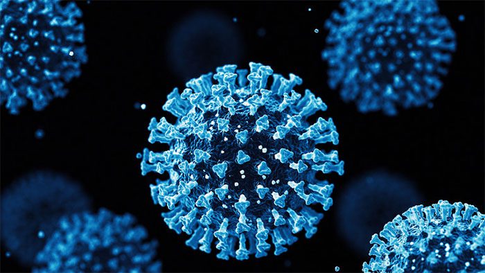 The new strain of the Corona virus named NeoCoV originated in South Africa.