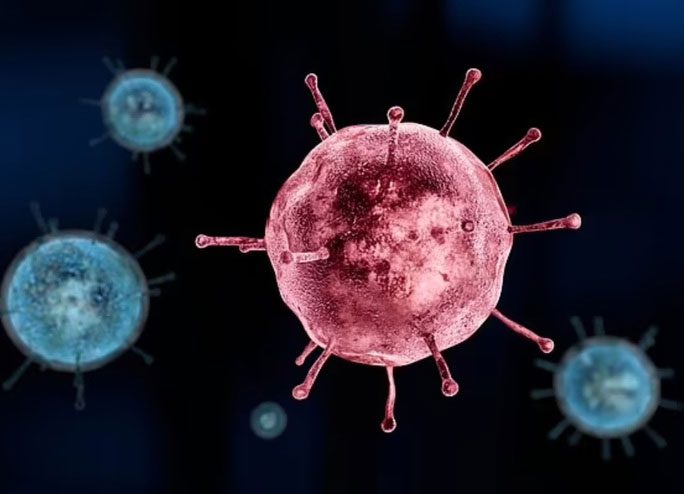 virus cum mua h1n1