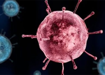 virus cum mua la hau due cua sat thu tung giet 100 trieu nguoi 120542