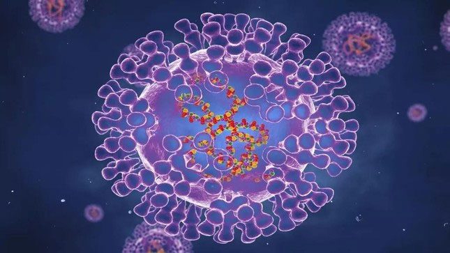 Monkeypox Virus