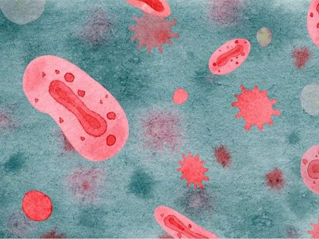 WHO examines the possibility of monkeypox virus mutation, studies are underway.