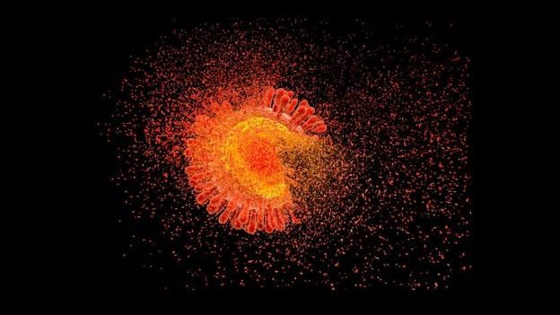 The research team has used gene-editing technology against HIV