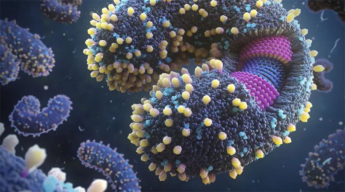 virus moi