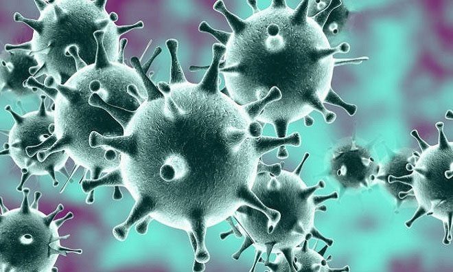 nCoV is the latest strain in the coronavirus family.