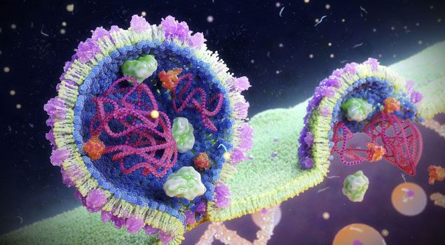 Image of RNA viruses