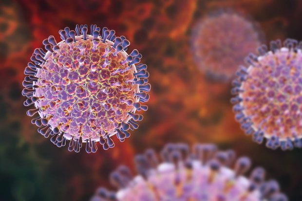 The primary transmission route of the Rota virus is fecal-oral.