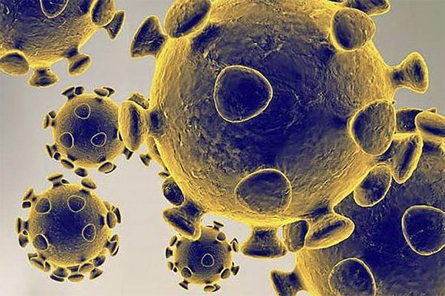 Image provided by the U.S. Food and Drug Administration regarding the SARS-CoV-2 virus