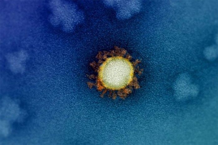 SARS-CoV-2 only takes 6 weeks to produce a new variant.