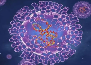 virus seasonal flu accelerates 12 times faster than usual 121396