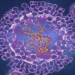 virus seasonal flu accelerates 12 times faster than usual 121396