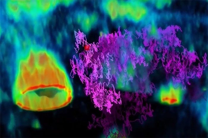 Image showing the virus finding its way to the surface of human intestinal cells