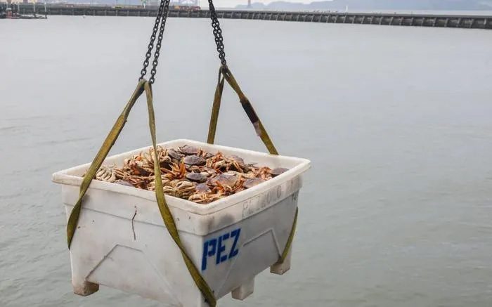 This new type of battery can be made from crab shells.