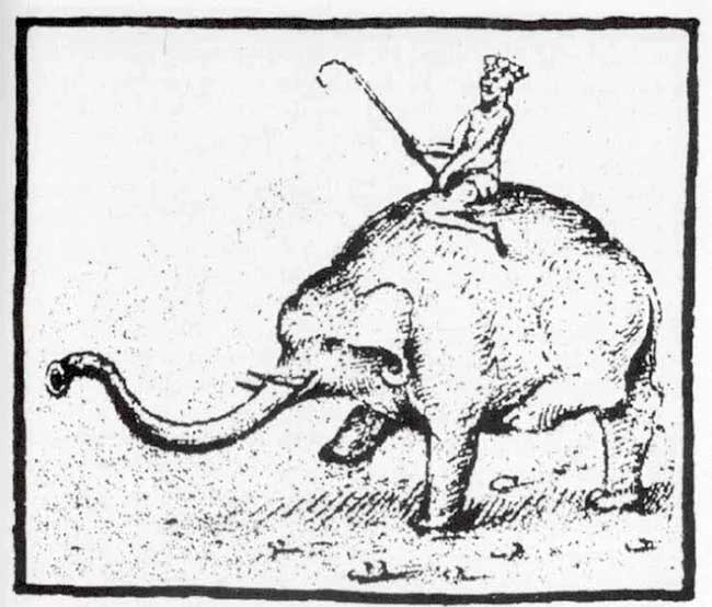 This elephant was named "Hanno" or "Annone" and belonged to Pope Leo X.