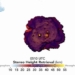 volcano erupts spewing ash column up to 58 000m into the stratosphere of weather system 118949