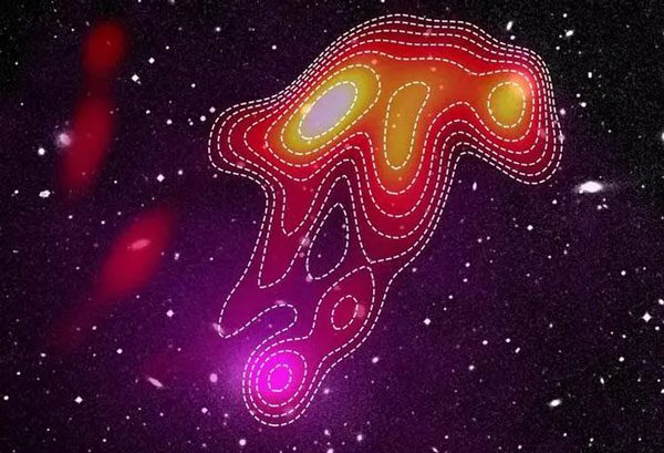 Phantom jellyfish captured in radio images