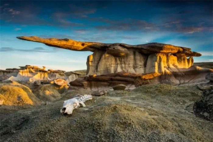 This area is also a site of many ancient animal fossils.