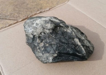 wales residents find challenge over 1kg weight worth 100000 pounds 119372
