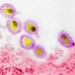 warning message for the covid 19 pandemic from the new hiv 119285