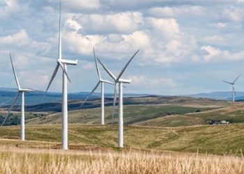 we have a day to eat delicious buttery candy made from wind turbine leaves 122588