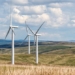 we have a day to eat delicious buttery candy made from wind turbine leaves 122588