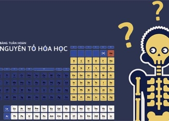 what elements can humans be made of 124196